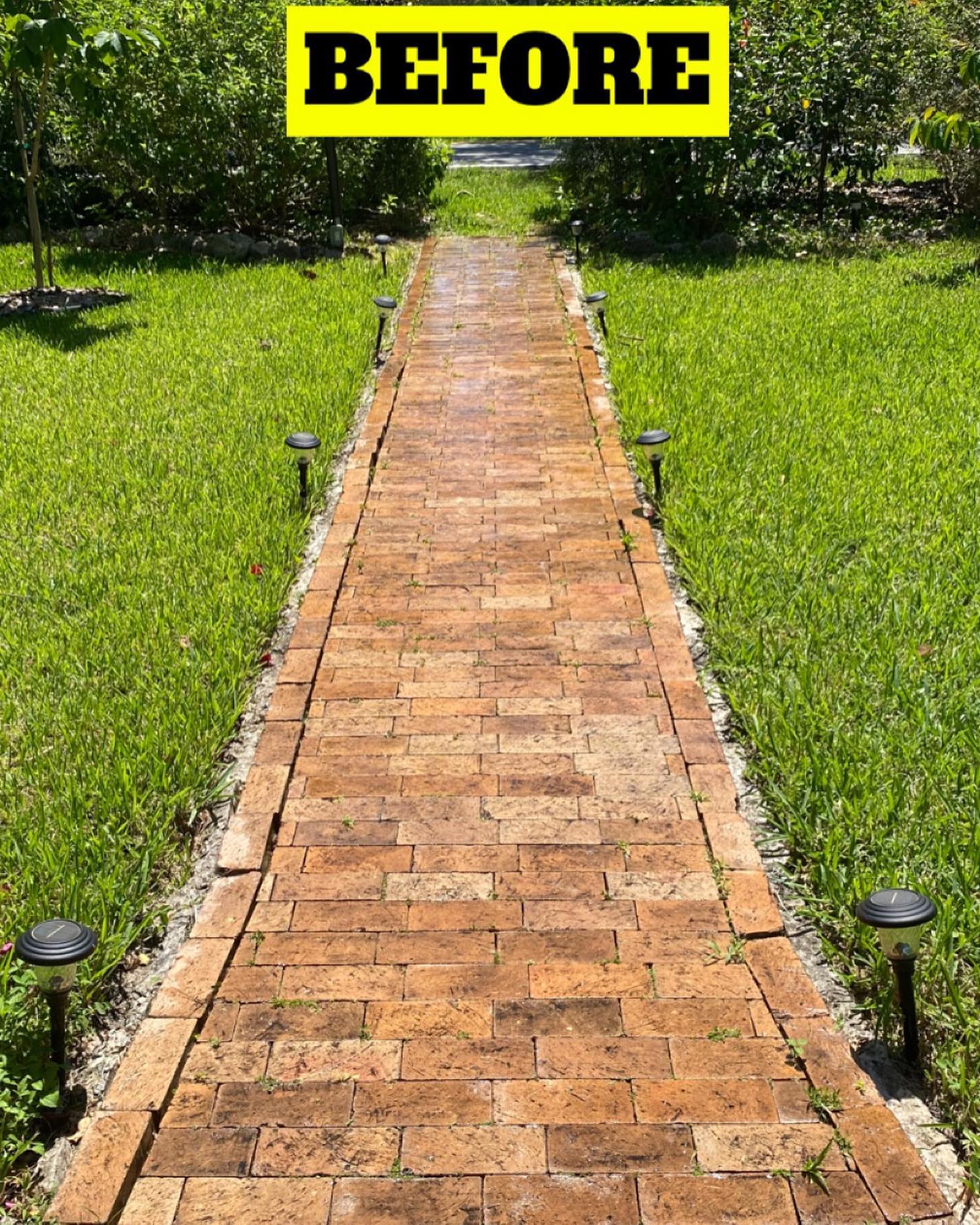 Brick Walkway before cleaning