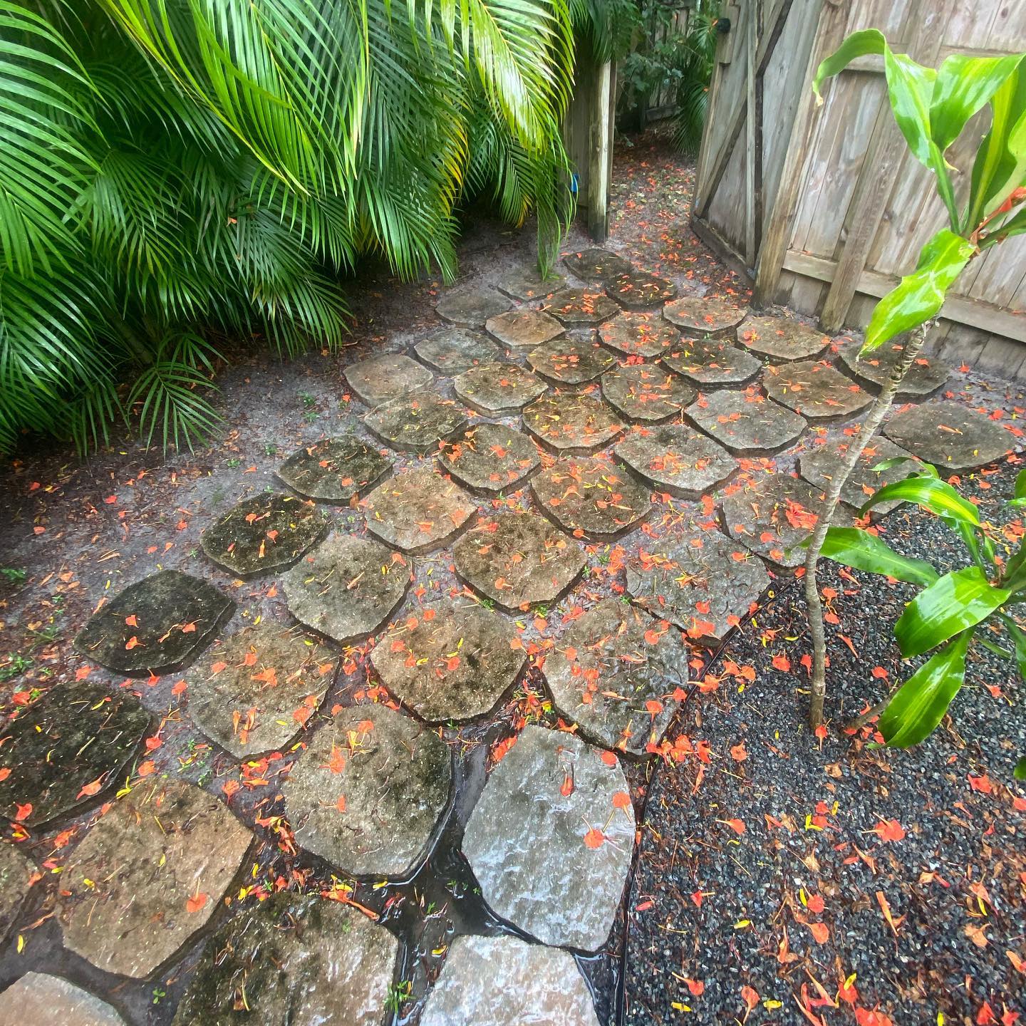 Stone Walkway before pressure cleaning